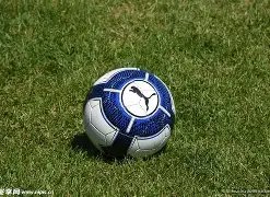 劳塔罗专注,备战世界杯,治疗训练,乐鱼体育,乐鱼体育官网,乐鱼体育H5官网